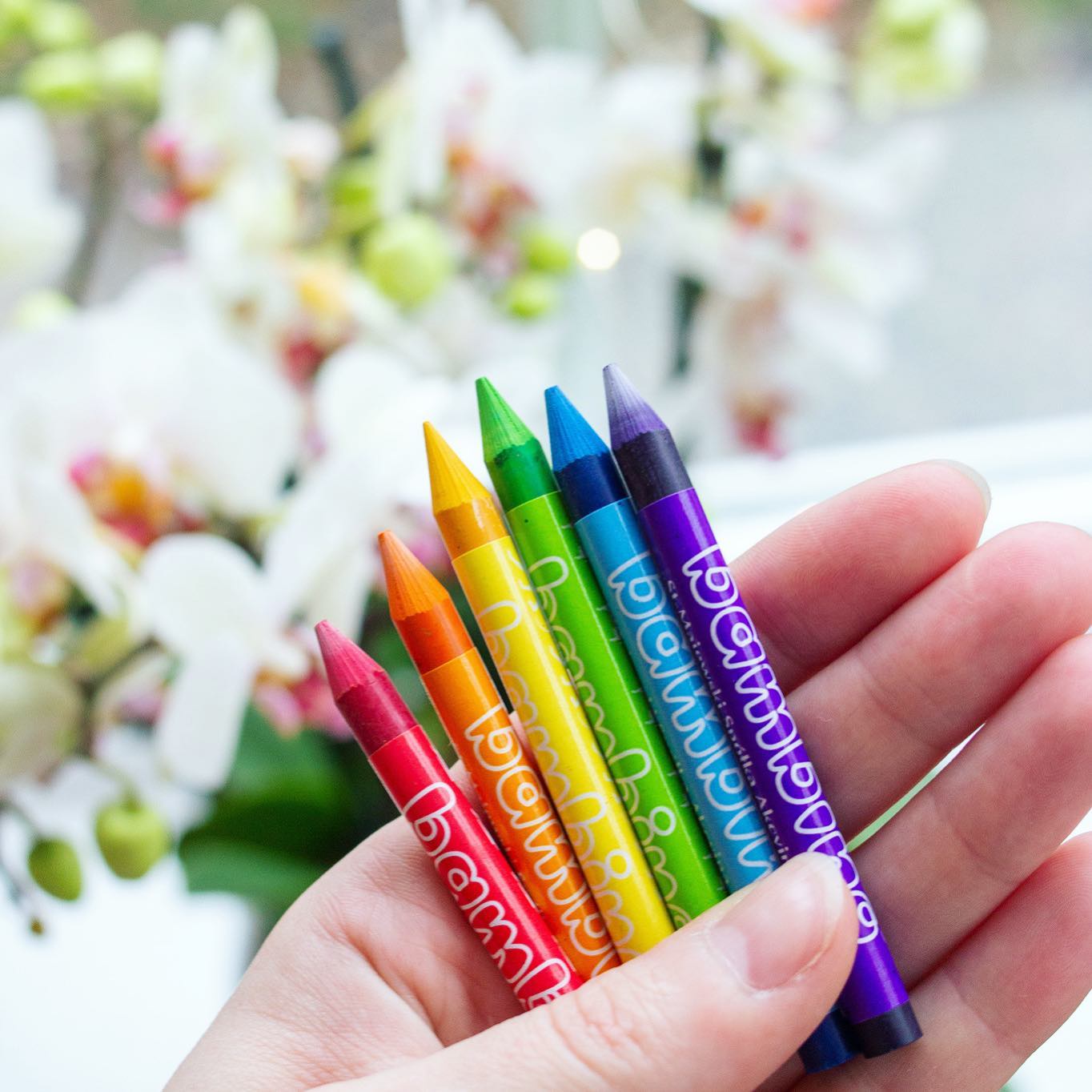 136964372 114904253819897 8021690228728980417 o 1 Bambino Design Challenge Winner!