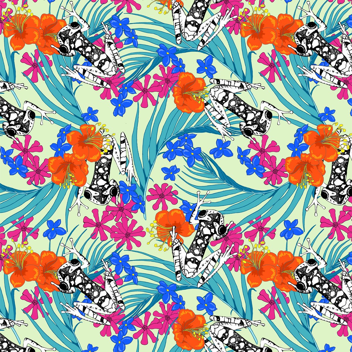 26.KAYLEIGH MACE THE TROPICS P&P Scholarship 2020! Our top 50 shortlisted. {Part 2}