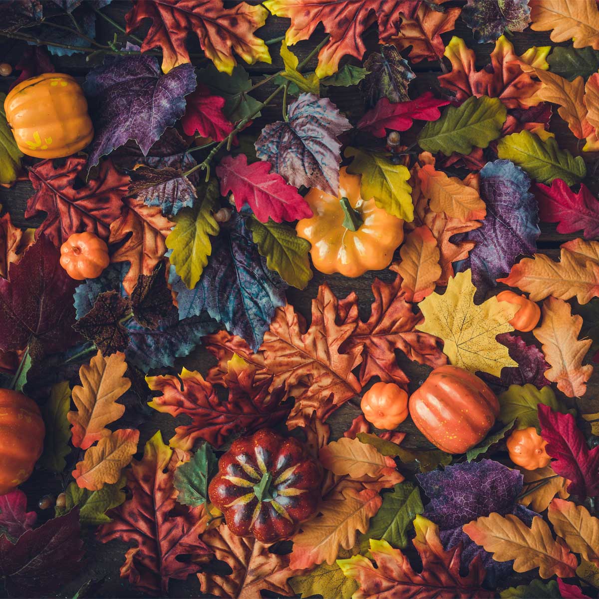 AdobeStock 222418970 EDIT Playback: 2024/2025 Autumn/Winter design trends to elevate your portfolio