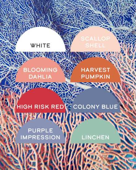 COASTAL DREAMS LR Spring Summer 2025 colour and design trends