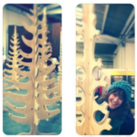 Trade Show Reviews: Mel Smith Designs 4 ELDS hide and seek e1419937475736 Trade Show Reviews: Mel Smith Designs