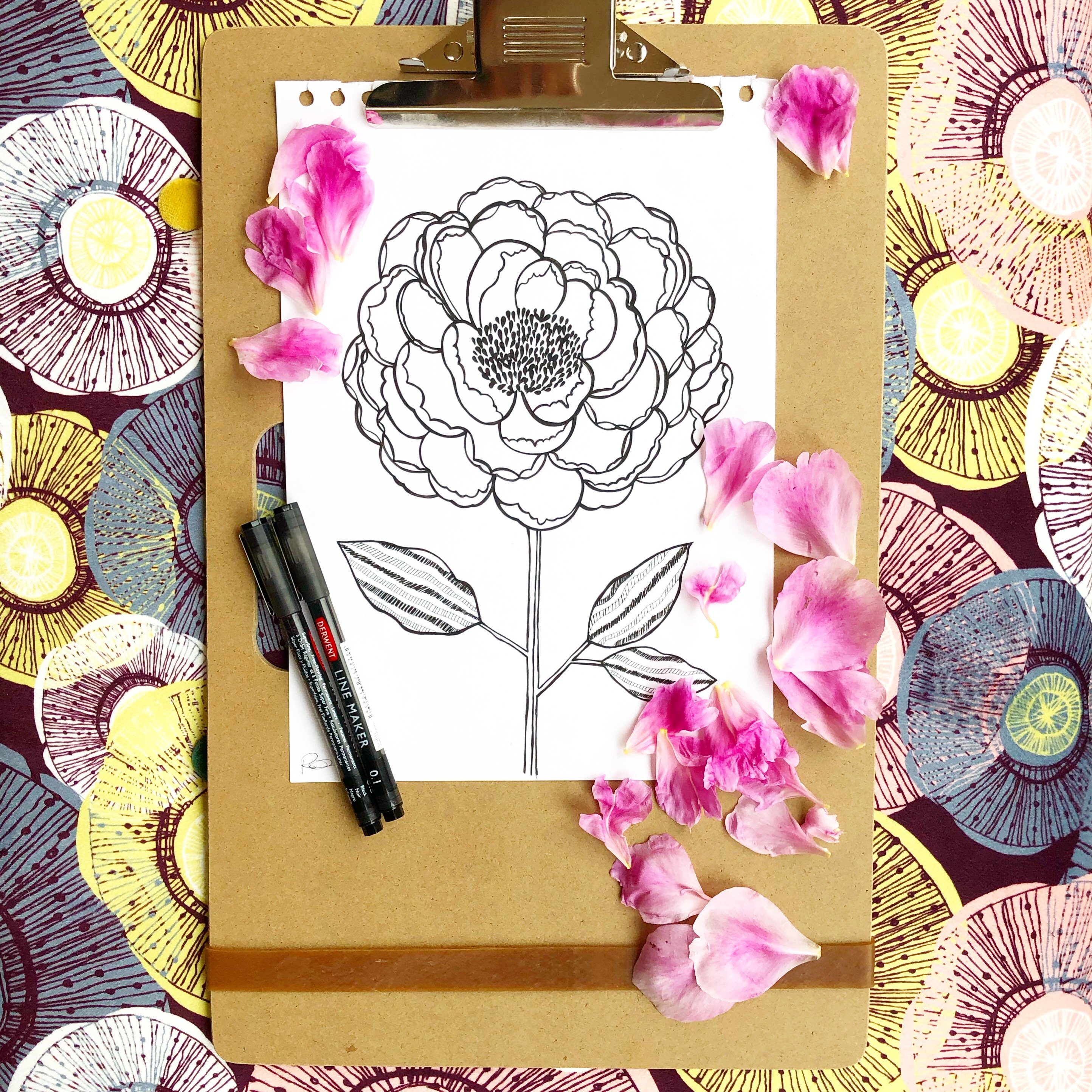 Photo 11 06 2019 12 53 14 Filming at Arley Hall + Gardens