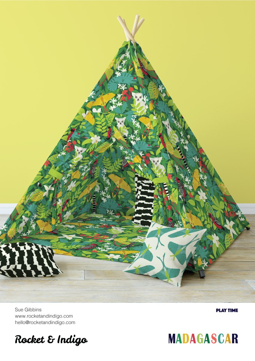 SUE GIBBINS MADAGASCAR 7 Video Testimonial Winner from The Ultimate Portfolio Builder (Sept 2018 Class)